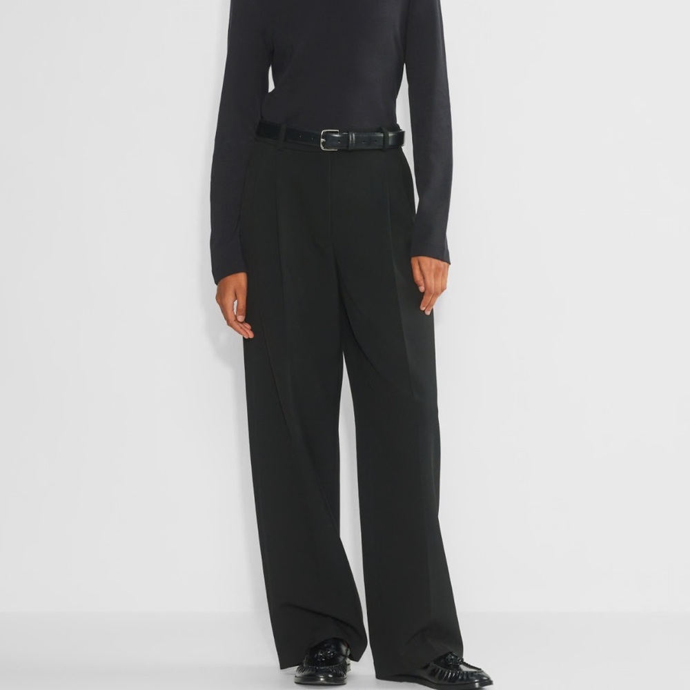 Aritzia Babaton Black Pleated Pant